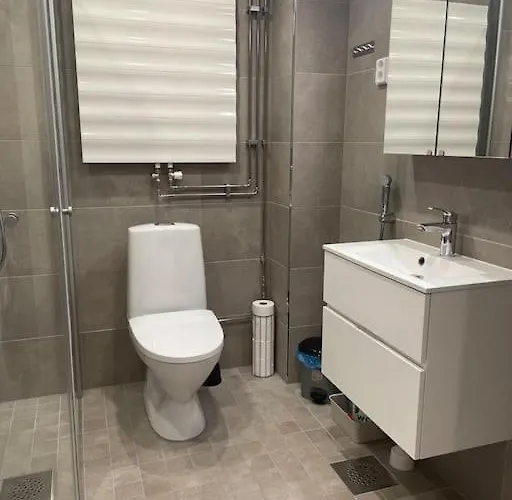 A Near To Airport Daire